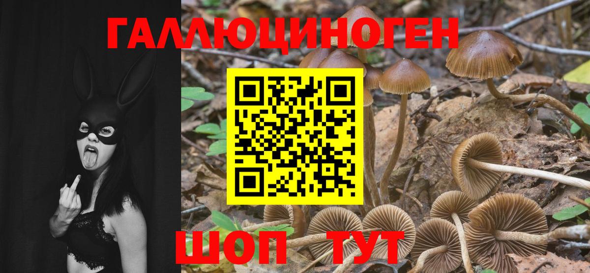 Галлюциногенные грибы ЛСД Нягань